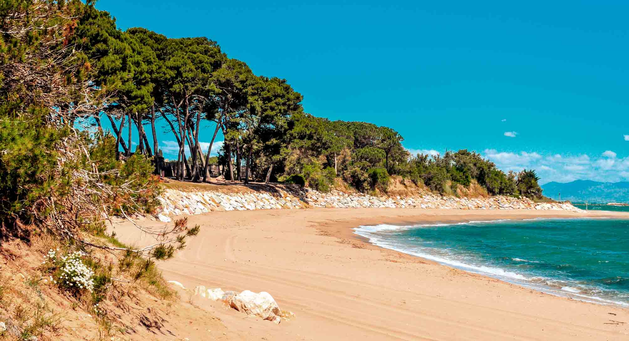 Imagen de Yoga en playa de L'Escala
