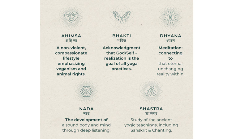 Imagen del esquema de los 5 principios de Jivamukti yoga